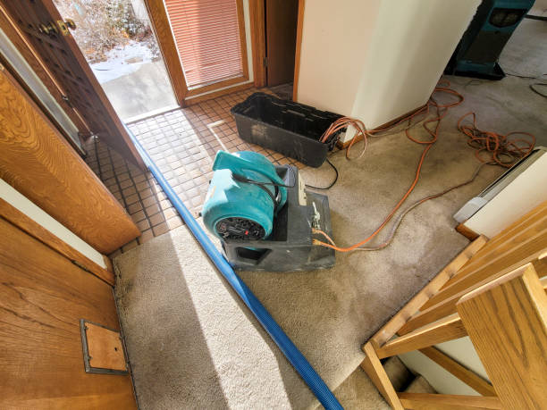 Best Flood restoration services  in Big Sky, MT