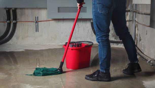 Carpet water damage restoration in MT