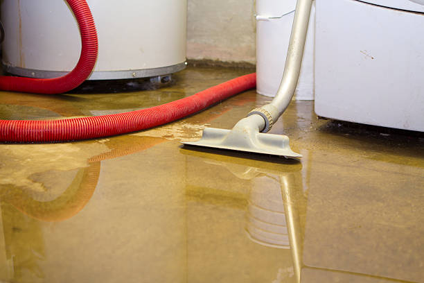 Best Professional water damage repair  in Big Sky, MT