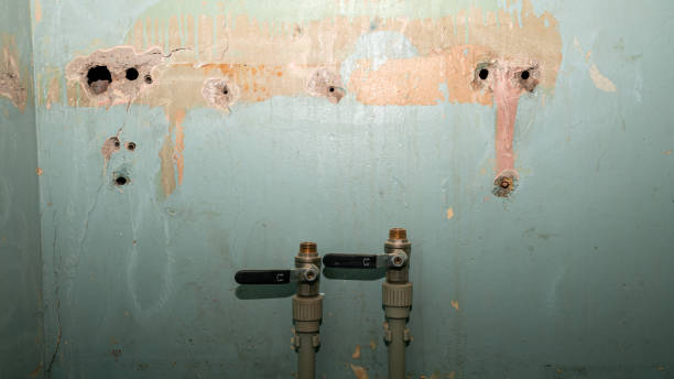 Best Flood restoration services  in Big Sky, MT