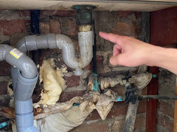 Best Local water damage restoration  in Big Sky, MT