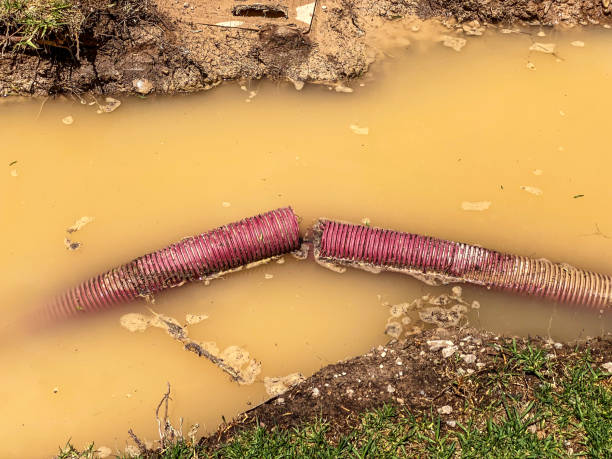 Best Basement water damage restoration  in Big Sky, MT