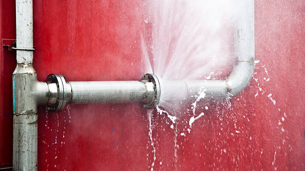 Best Water damage mitigation services  in Big Sky, MT